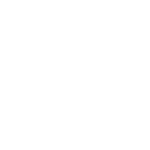 White Icon